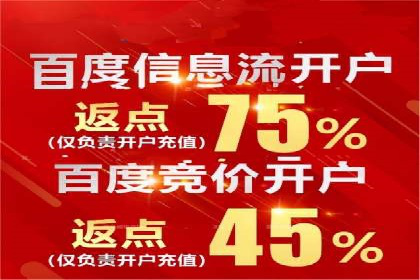 百度广告竞价策略详解：某电商平台的成功案例